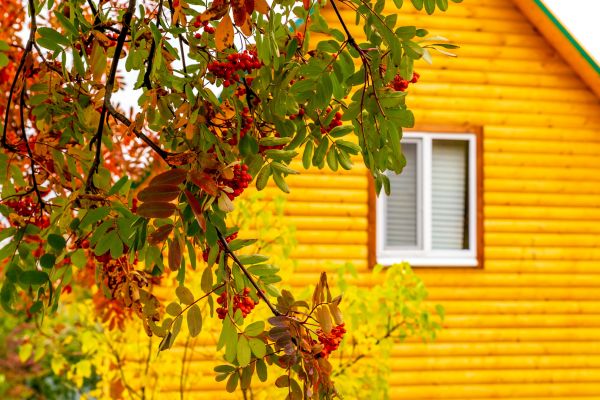 Garden Window Replacement in Buffalo